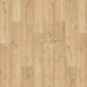 Canoe Oak