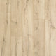 Sand Pearl Oak