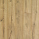 Cavalry Oak