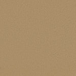 Load image into Gallery viewer, Shaw Sandy Hollow I 12' - Cornfield (00202) - Q4273-00202
