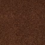 Load image into Gallery viewer, Shaw Sandy Hollow Ii 12' - Tortoise Shell (00707) - Q4275-00707
