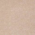 Load image into Gallery viewer, Shaw Sandy Hollow Ii 15' - Stucco (00110) - Q4276-00110
