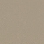Load image into Gallery viewer, Shaw Sandy Hollow Iii 12' - Oatmeal (00104) - Q4277-00104
