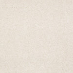 Load image into Gallery viewer, Shaw Timeless Appeal Iii 12' - Mushroom (00101) - Q4314-00101
