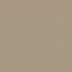 Load image into Gallery viewer, Shaw Timeless Appeal Iii 12' - Oatmeal (00104) - Q4314-00104

