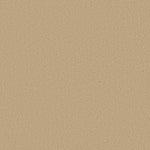Load image into Gallery viewer, Shaw Timeless Appeal Iii 12' - Marzipan (00201) - Q4314-00201
