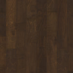 Load image into Gallery viewer, St. Petersburg - Bayfront
