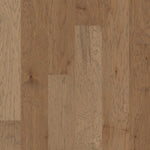 Load image into Gallery viewer, Continental - Sunkissed
