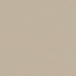Load image into Gallery viewer, Shaw Refined Canvas — Sand Castle 00127 carpet
