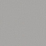 Load image into Gallery viewer, Shaw Refined Canvas — Polished Silver 00538 carpet
