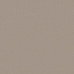 Load image into Gallery viewer, Shaw Refined Canvas — Back Patio 00724 carpet
