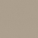 Load image into Gallery viewer, Shaw Pure Comfort I — Sand Castle 00127 carpet
