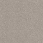 Load image into Gallery viewer, Shaw Pure Comfort I — Shoreline Haze 00128 carpet

