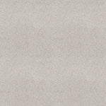 Load image into Gallery viewer, Shaw Pure Comfort I — Whitewashed Frame 00154 carpet
