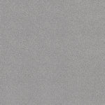 Load image into Gallery viewer, Shaw Pure Comfort I — Polished Silver 00538 carpet
