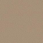 Load image into Gallery viewer, Shaw Pure Comfort I — Walk On The Beach 00721 carpet
