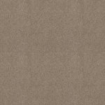 Load image into Gallery viewer, Shaw Pure Comfort I — Dockside View 00722 carpet
