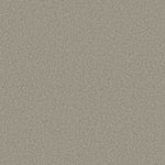 Load image into Gallery viewer, Shaw Pure Comfort I — Back Patio 00724 carpet
