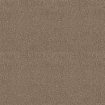 Load image into Gallery viewer, Shaw Pure Comfort I — Camping Trip 00749 carpet
