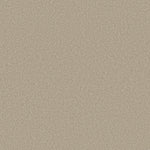 Load image into Gallery viewer, Shaw Pure Comfort II — Sand Castle 00127 carpet
