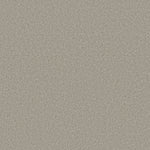 Load image into Gallery viewer, Shaw Pure Comfort II — Shoreline Haze 00128 carpet
