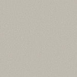 Load image into Gallery viewer, Shaw Pure Comfort II — Whitewashed Frame 00154 carpet
