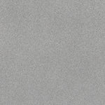 Load image into Gallery viewer, Shaw Pure Comfort II — Polished Silver 00538 carpet
