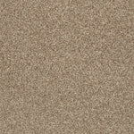 Load image into Gallery viewer, Shaw Pure Comfort II — Camping Trip 00749 carpet
