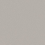 Load image into Gallery viewer, Shaw Aerial View — Haze 00501 carpet
