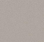 Load image into Gallery viewer, Shaw Artistic Presence — Cold Winter 00126 carpet
