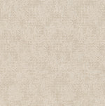 Load image into Gallery viewer, Shaw Artistic Presence — Delicate Cream 00156 carpet
