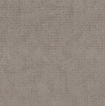 Load image into Gallery viewer, Shaw Artistic Presence — Stucco 00724 carpet
