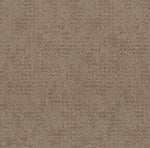 Load image into Gallery viewer, Shaw Artistic Presence — Tumbleweed 00749 carpet
