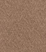 Load image into Gallery viewer, Shaw Lavish Living — Sunbaked 00650 carpet
