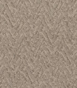 Load image into Gallery viewer, Shaw Lavish Living — Tumbleweed 00749 carpet
