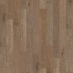 Load image into Gallery viewer, Coral Springs - Oceanside
