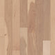 Canopy — 01032
