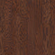 Hazelnut — 00874