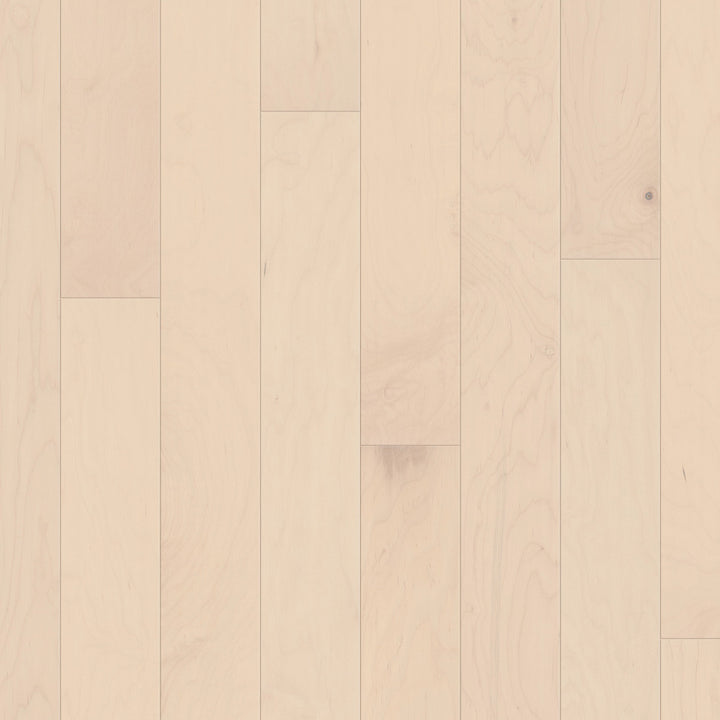 Eclectic Maple