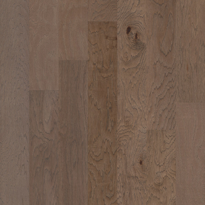 Alpine Hickory