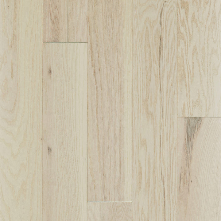 Exploration Oak