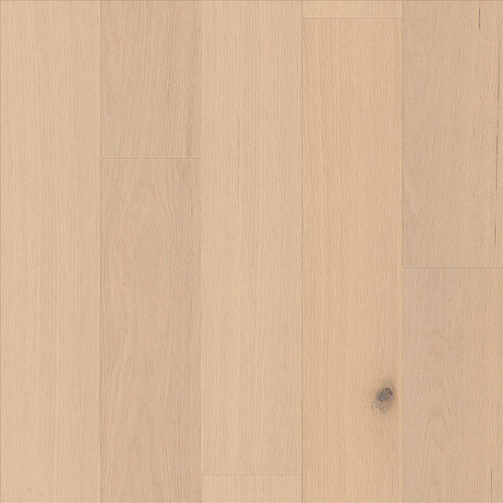 Sanctuary Oak