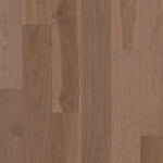 Load image into Gallery viewer, Exploration Hickory - Inlet
