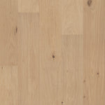 Load image into Gallery viewer, Utmost - Eternal
