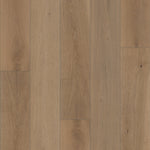 Load image into Gallery viewer, Expressions 9.5" - Kinetic
