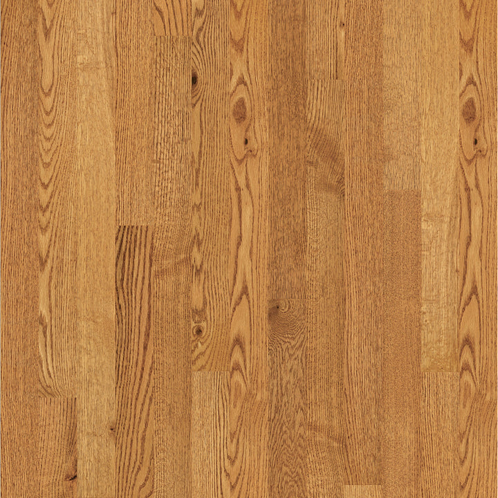 Lineage Oak 3"