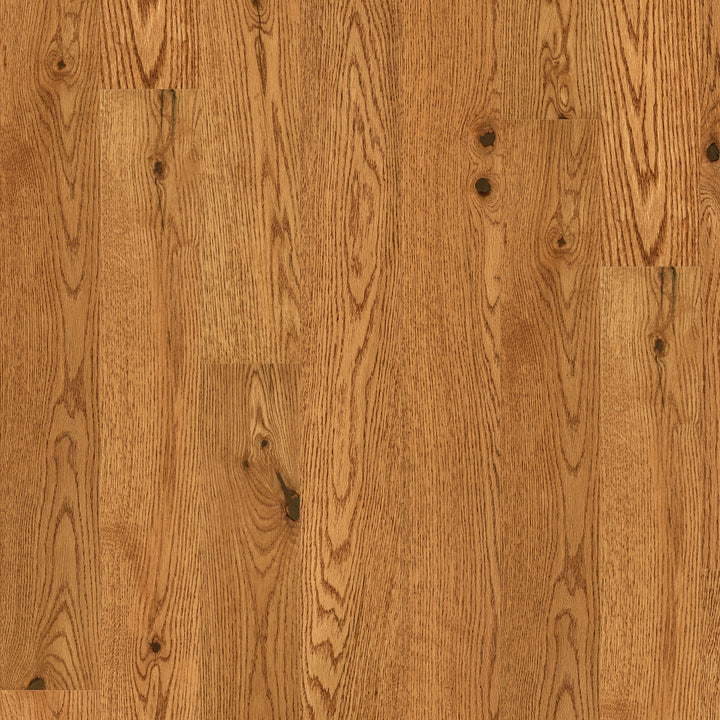 Lineage Oak 5"