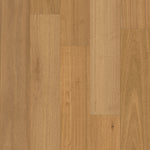 Load image into Gallery viewer, Bridgewater Eucalyptus - Golden Canopy
