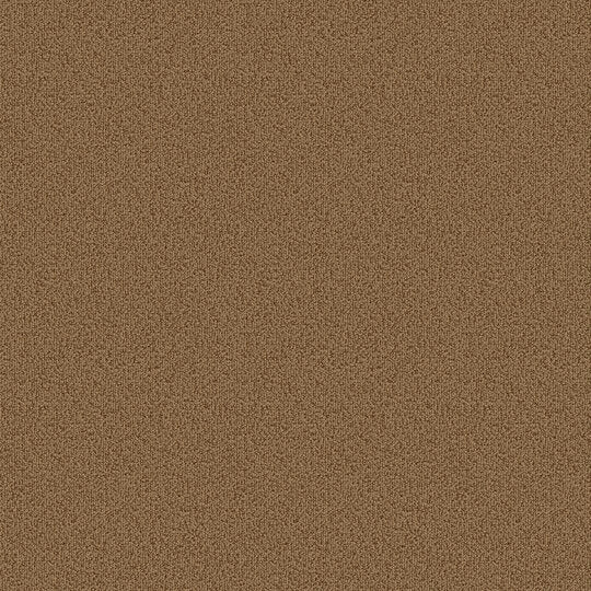 Color Choice 24X24