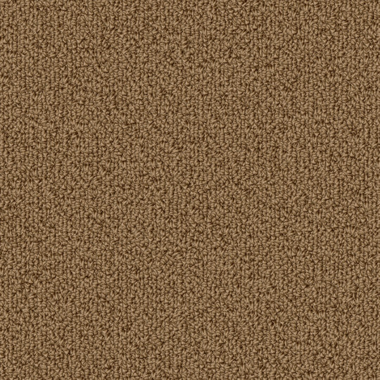 Color Choice